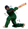 cricket-1-dark-green